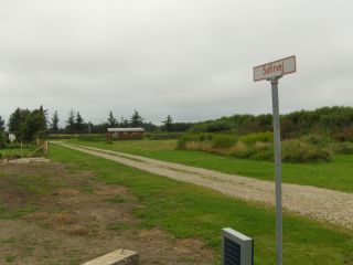 HPIM0654.JPG