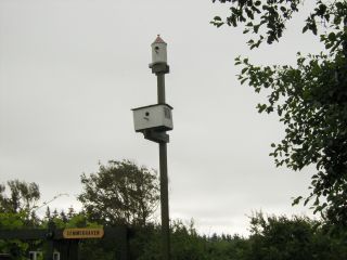 HPIM0628.JPG