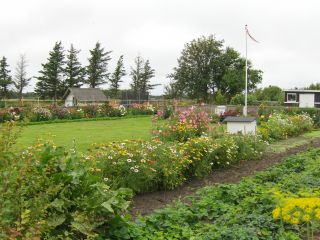 HPIM0639.JPG