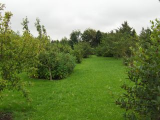 HPIM0662.JPG